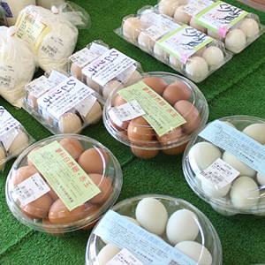 農産物直売所【農ん喜村】事務所
